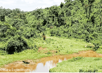https://www.maraexpeditions.co.ke/3-days-climb-camping-le-satima-aberdare-national-park/