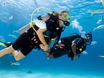 https://www.maraexpeditions.com/beach-scuba-diving